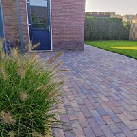 Longstone opritsteen 7 cm chelsea - Afbeelding 5
