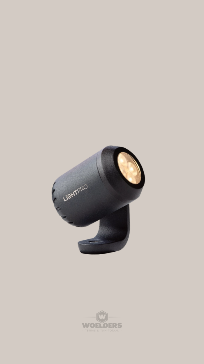 Juno 4 12V