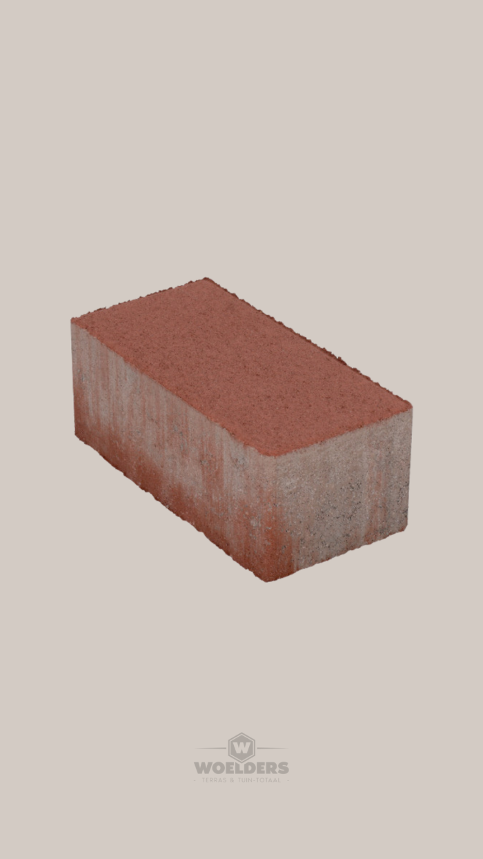 BSS Exclukera 10,5x21x8cm Rood