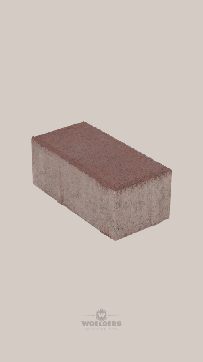 BSS Exclukera 10,5x21x8cm Rood-Zwart