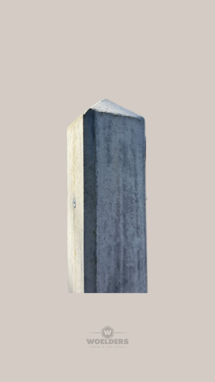 Betonpalen Ongecoat 10x10x280cm Grijs