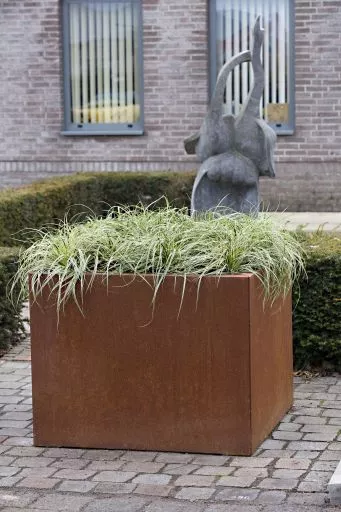 Plantenbak Vlak Corten 60x60x80cm - Afbeelding 2