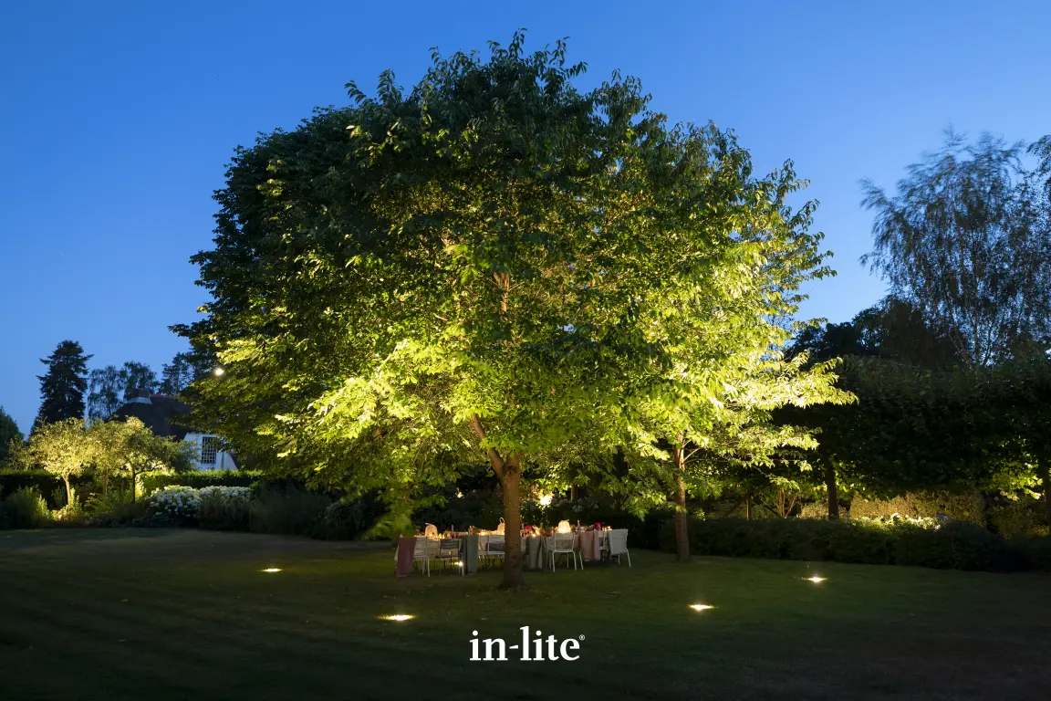 In-Lite Big Nero 12V - Dark - Afbeelding 3
